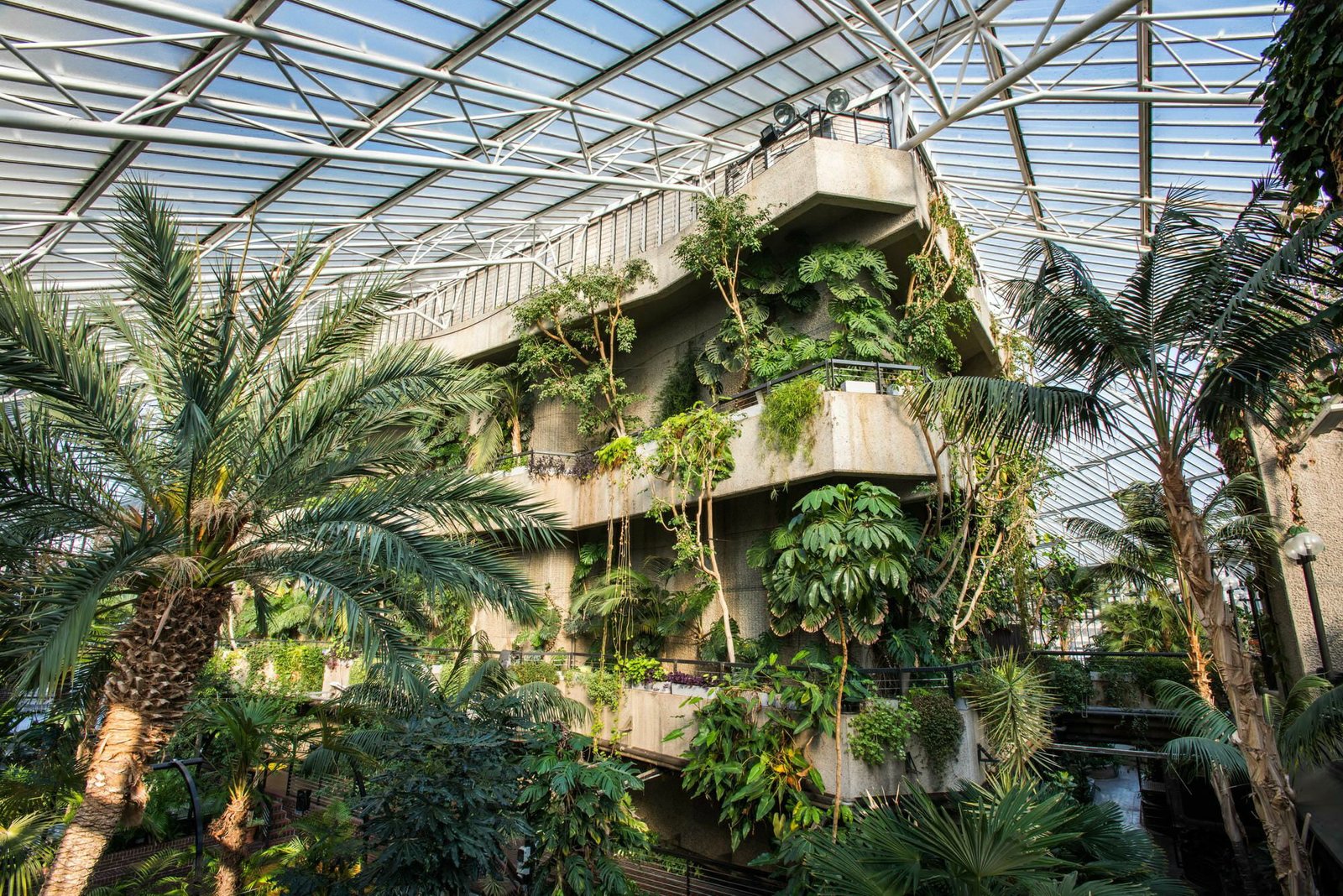 Barbican-Conservatory-Max-Colson