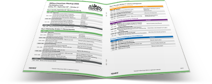 The IQGeo Americas Meetup 2025 agenda
