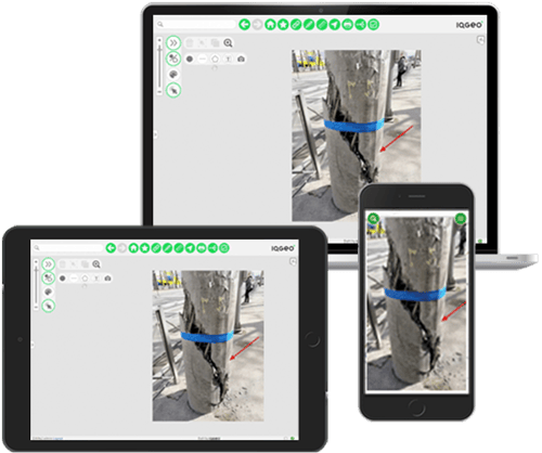 IQGeo-geospatial-software-capturing-data-in-the-field