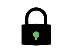 Secure Icon 2020