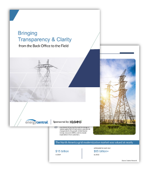 IQGeo-White-paper-Bringing-Transparency-&-Clarity-Thumbnail-306x353 (1)
