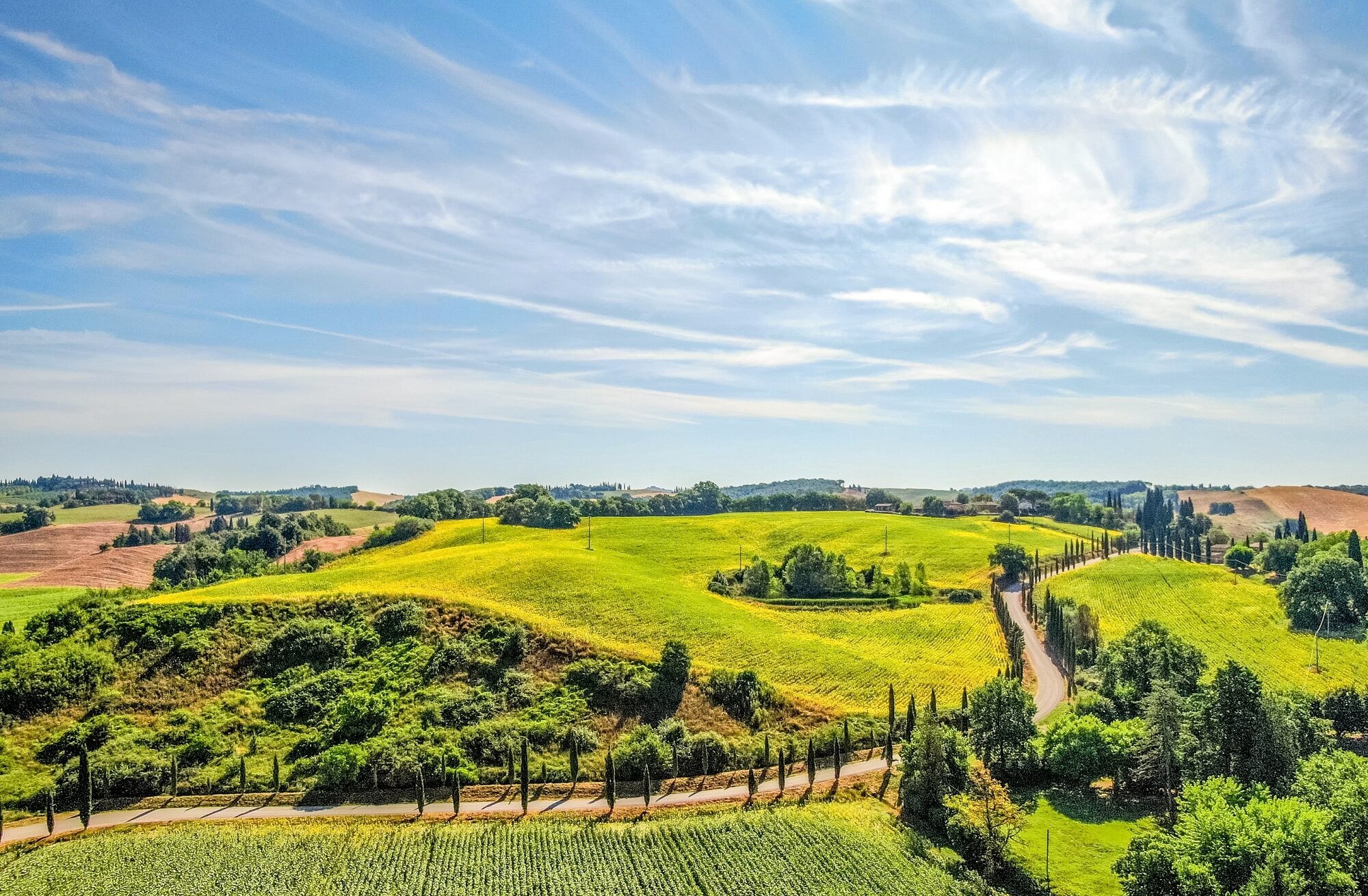 Rural fiber rollouts are key to bridging the digital divide | IQGeo 