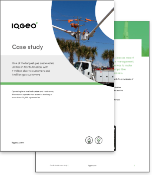  Electric and gas utility customer case study 