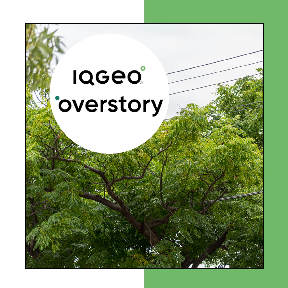 IQGeo_Overstory_partners