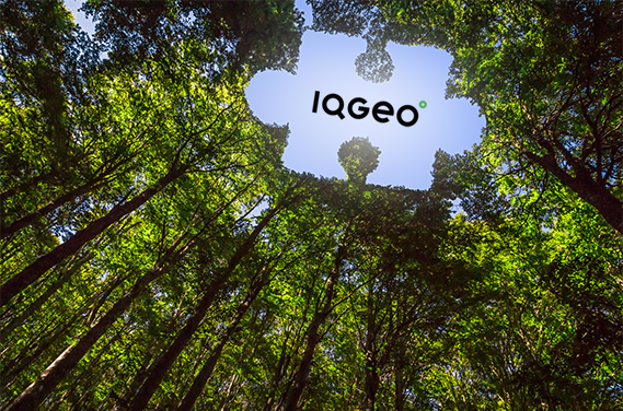 The IQGeo partner ecosystem