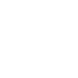 IQGeo-Icon-Portion-Style_White